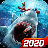 ����������ַ