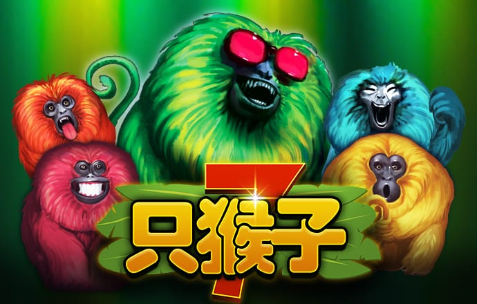 55���͵�¼���