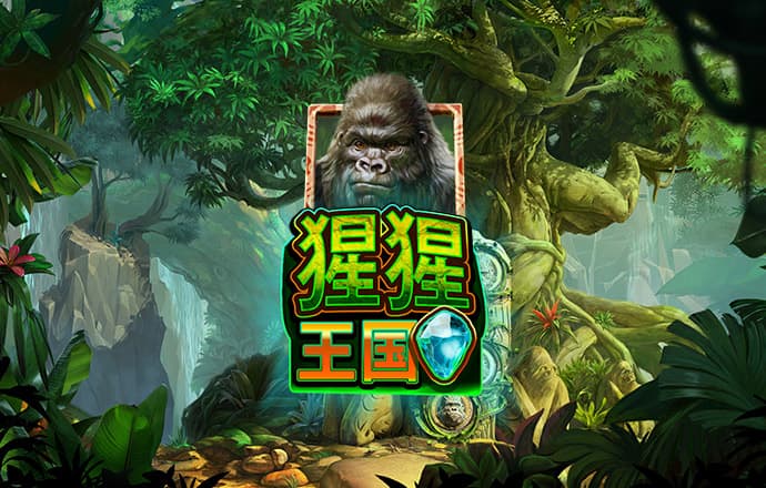 乐乐彩官方网站截图4